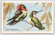 c1940s Loma Linda Foods Ruskets Cereal Anna's Hummingbird Advertising Trade Card