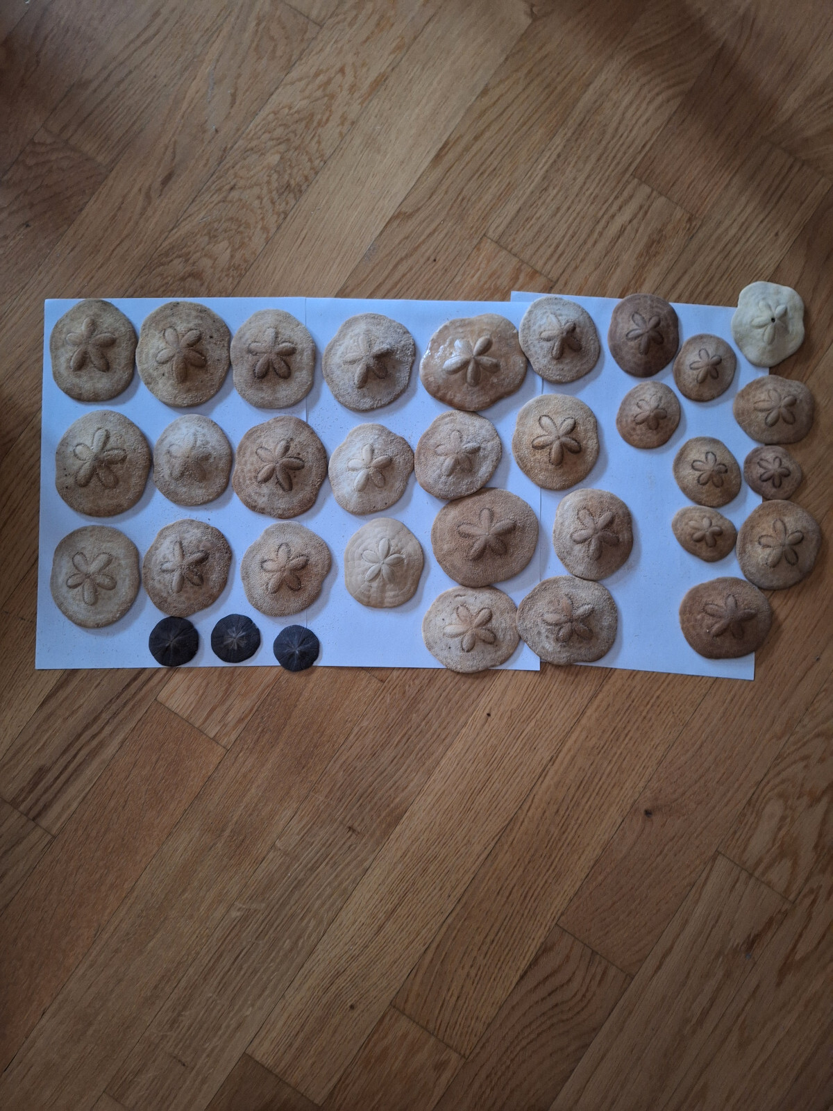 Bild 5 von 7