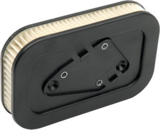 Filtro Aria Sportster 883 1200 Iron Nightster Custom XL Sporty Harley 04 - 13 HD