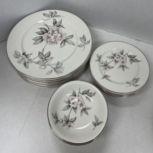Ancestral AM Hostess Spring Glory durchscheinend China Service für 8 (47 Stück) - Bild 11 von 12
