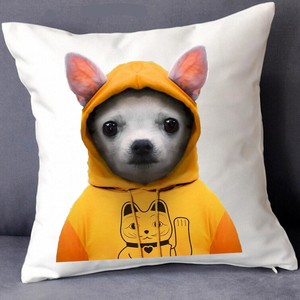 Drole Chien Chihuahua Chiot Canis Lupus Housse Coussin Oreiller Etui Faux Decor Ebay Drole Chien Chihuahua Chiot Canis Lupus Housse Coussin Oreiller Etui Faux Decor Ebay