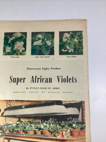 Atlanta GA Print Artículo 1952 AJC Violet Gentison Long Island Sandy Springs - Imagen 4 de 10