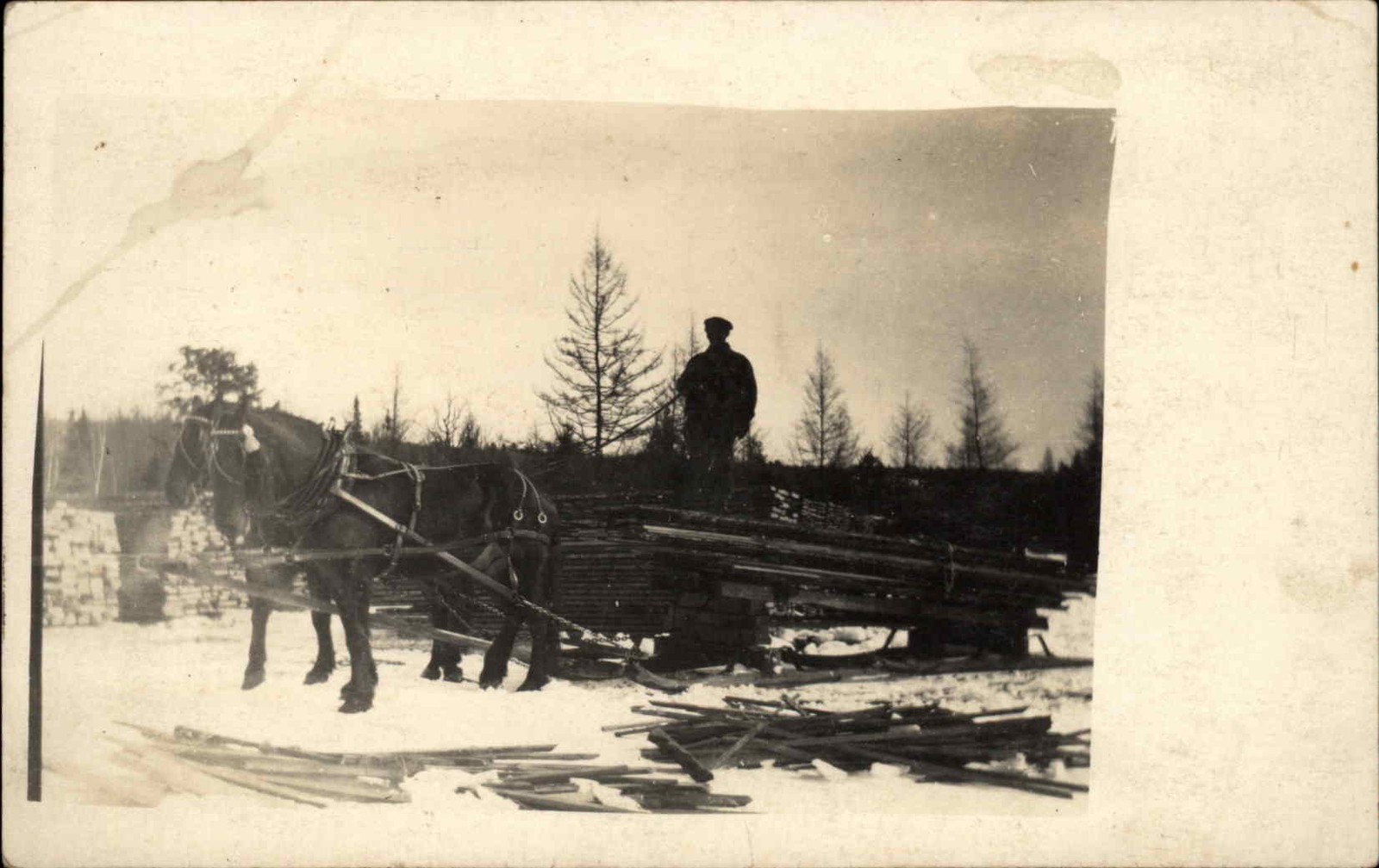 Horse Sleigh Logging Solon Maine on Back c1910 Real Photo Postcard eBay