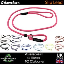 Slip Lead Leash Rope Dog Puppy Pet No Collar Needed 4sizes 1.2m Strong Nylon