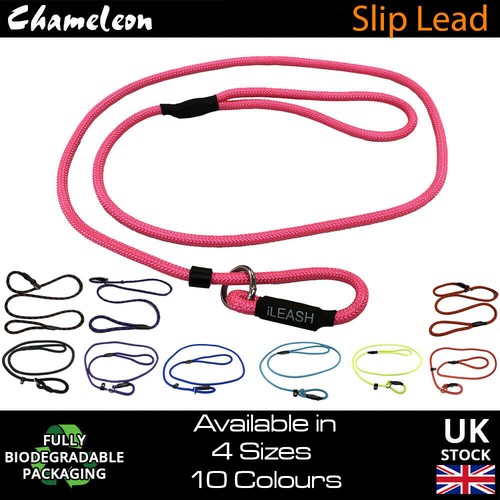 Slip Lead Leash Rope Dog Puppy Pet No Collar Needed 4sizes 1.2m Strong Nylon