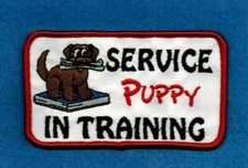 SERVICE PUPPY IN TRAINING - service dog vest patch