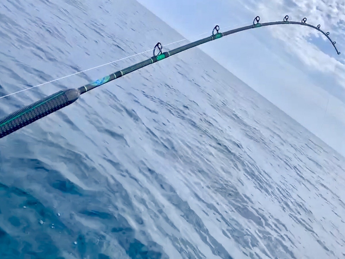 ロッド OCEAN CBXBR-ROST6'6\" Amazon.co.jp: オーシャン トローリングロット CBXBR-ROST OCEAN