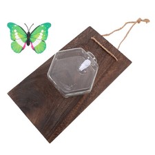  Pot De Fleur Suspendu Fleurs Hydroponique Planteur Verre Vase Mural