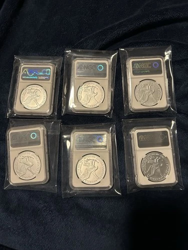 Photo of a 2025 American Silver Eagle from an eBay listing that sold on Jul 20, 2026