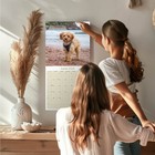 Bild 2 von 10