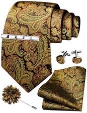 Tie Set for Men Necktie and Pocket Square,Tie Clip,Cufflinks, Lapel Pin Gold