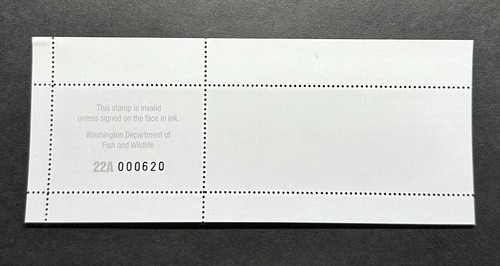 WTDstamps - 2022 WASHINGTON - State Duck Stamp - Mint OG NH **HUNTER TYPE** - Picture 2 of 2