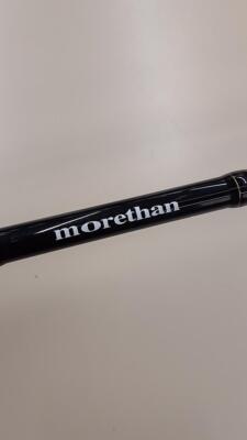 Daiwa Morethan Ags 93Ml 01474015 Sea Bass Rod | eBay