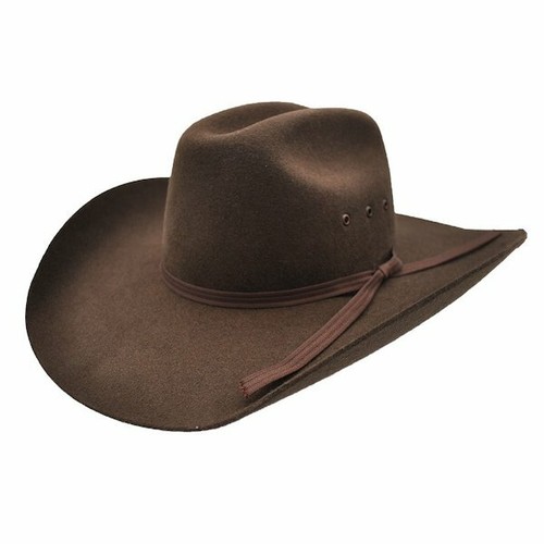Felt Brown Cowboy Hat T7213002 | eBay