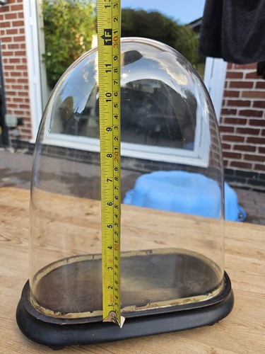 Antique Glass Dome with Wood Base No.2 - Picture 4 of 6