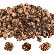 800PCS Christmas Natural Mini Pine Cones-Thanksgiving Pinecones Ornaments-Fal...