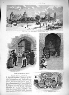Original alter antiker Druck 1889 Weinberge Champagner Pommery Reims Crayere Höhlen