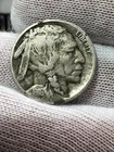 1916 D Full Date 1/2 Horn Higher Grade Buffalo Nickel -  Better Date US Coin!