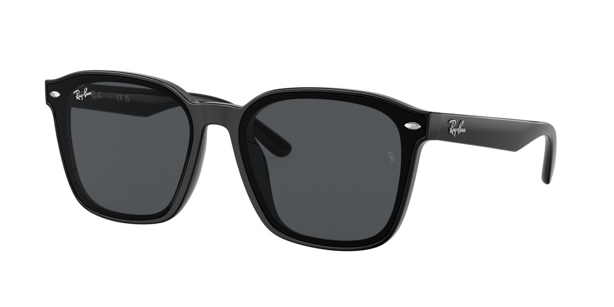 Ray-Ban サングラス RB4392D 601/87 RAY-BAN SUNGLASSES RB4392D 601/87 BLACK/GREY LENS 66MM | eBay