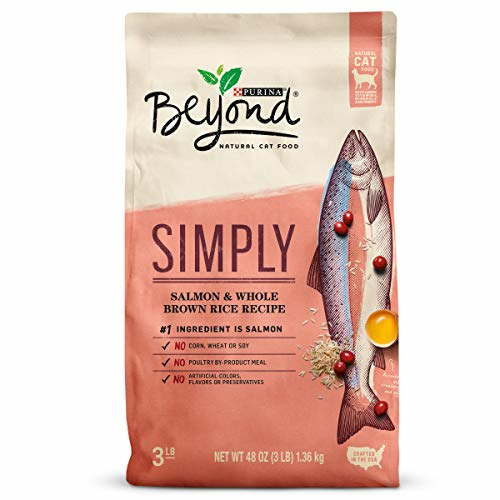 beyond salmon dog food