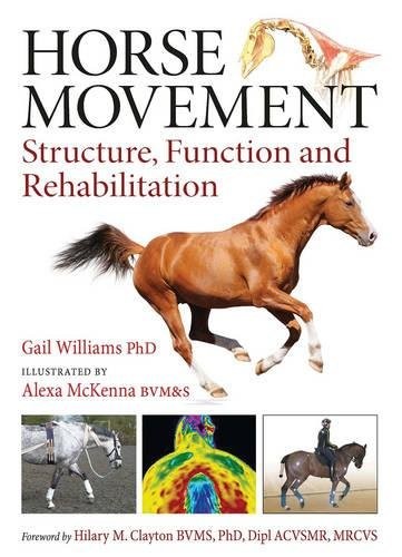 Horse Movement by Gail Williams (Hardback Book) - Image 5