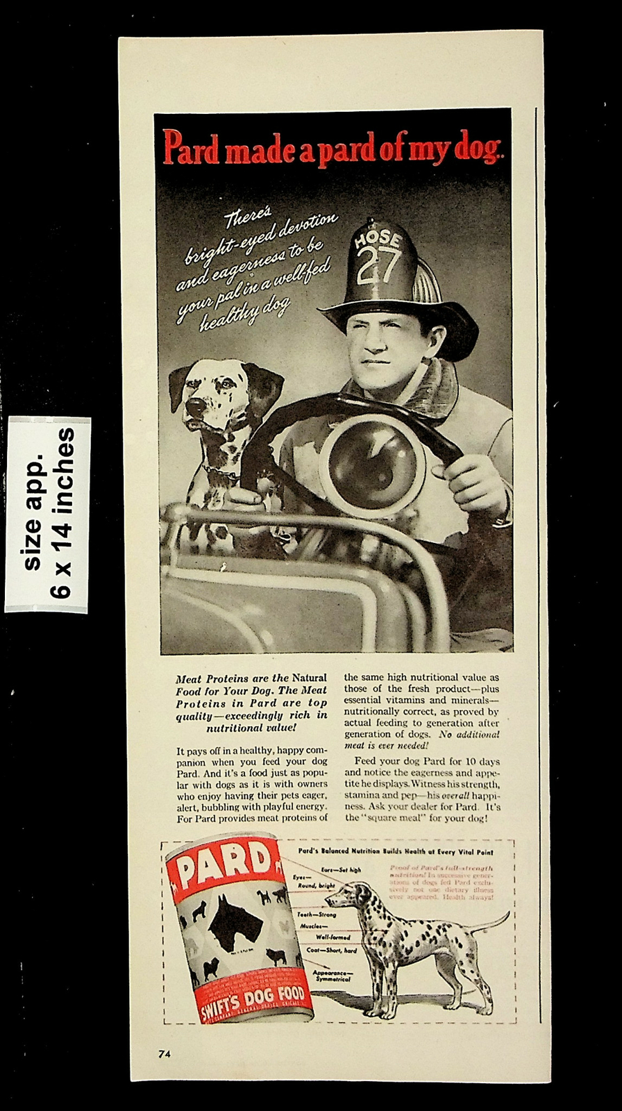 Firefighter Dalmatian Engine Vintage Print Ad 23315