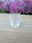 Vintage Waterford Crystal Lismore Shot Glass