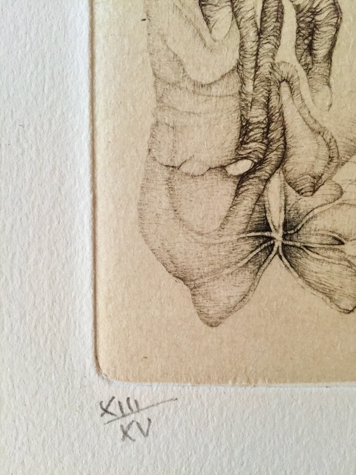 Picture 3 of 8