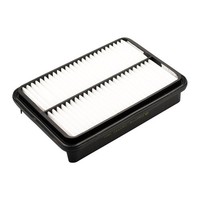 Castrol Filters Luftfilter U.A. FüR CitroËN, Isuzu, Mitsubishi, Peugeot
