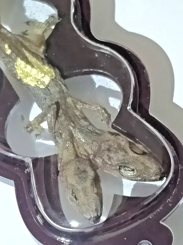 Тайский амулет Jing Jok 2 Head 9 Tail Magic Wealth Success Fortune талисман удачи - Изображение 4 из 4