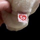 Bild 8 von 10