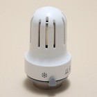 Foto 4 di 8
