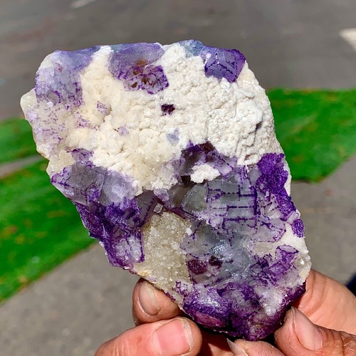 242G Natural transparent purple flourite cluster chakra spiritual sample - Picture 14 of 20