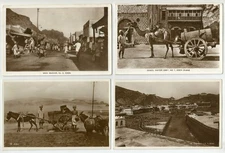 Aden 4 old postcards, The Crescent, Main Bazaar, Camel water cart, Carry cart, l