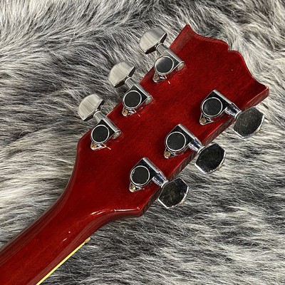 Burny SG-75AY WR Used Electric Guitar | eBay