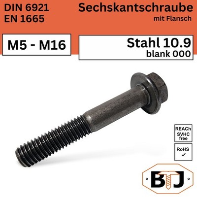 DIN 6921 Flanschschraube 10.9 blank Sechskantschraube Flansch M6 M8 M10 M12 M16