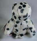 Bild 3 von 4