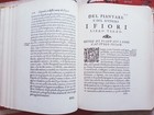 Foto 8 di 12