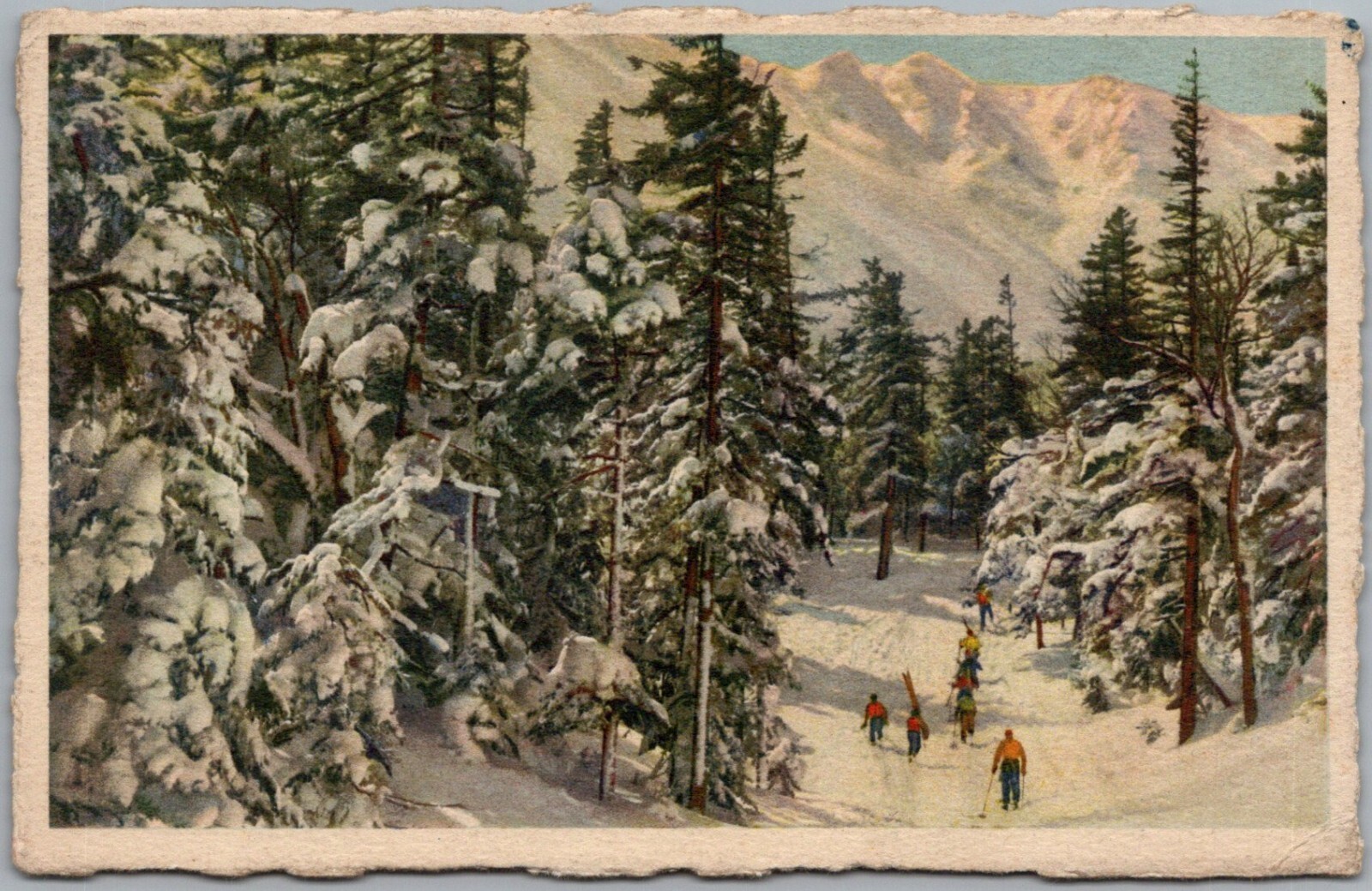 Foto 1 di 2