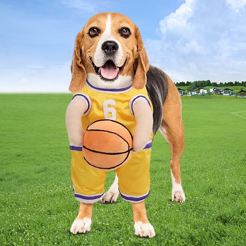 Dog Basketball Player Costume with Ball Pet Halloween Costume Halloween