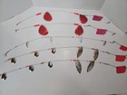 Foto 1 di 12