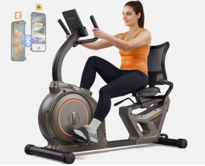 recumbent exercise bike