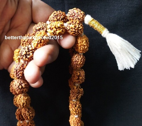 3 TRE PERLE MUKHI RUDRAKSHA KANTHA SURYA AGNI SIDDHA MALA 53 +1 RUDRAKSH--LAB - Foto 3 di 3