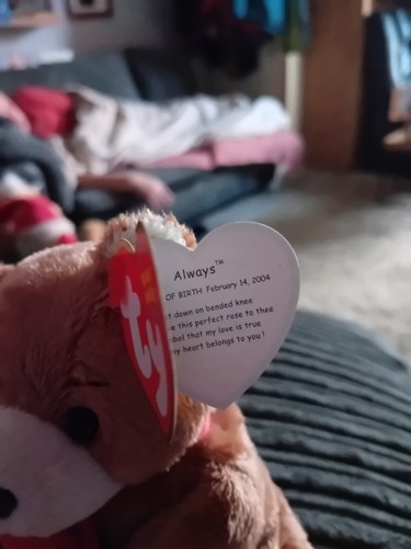 Ty Beanie Babies Always The Valentine's Bear, Small Plush Soft Toy, With Tags - Picture 7 of 12