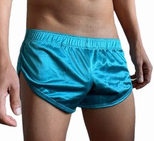 David s Closet Retro Metallic Running Shorts Satin Lounge Fit