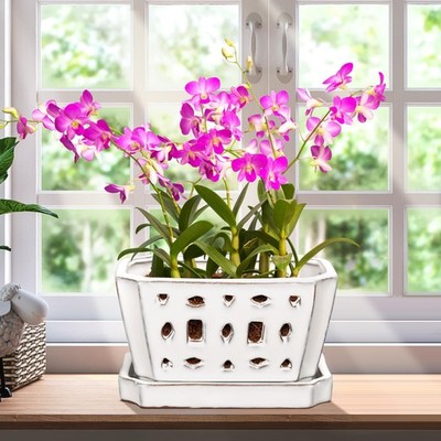 ''7Inch Ceramic Orchid Pot with Drainage, Saucers, and Gardening Tools''