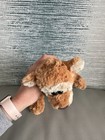 Foto 11 di 11