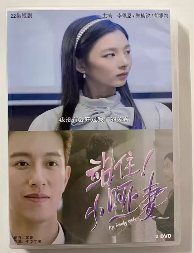 2023 Chinese Drama TV MUTE WIFE DVD 站住小哑妻 Chinese Sub BOXed . 爱情 eBay