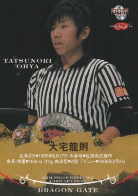 ダーツ SECRET TONKICHI Anniversary Tatsunori Ohya / Naoto Kikuchi 2009-10 BBM Pro Wrestling