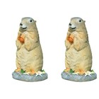 2pcs Adorable Ornament Micro Landscape Resin Animal Craft Creative Bonsai Decor